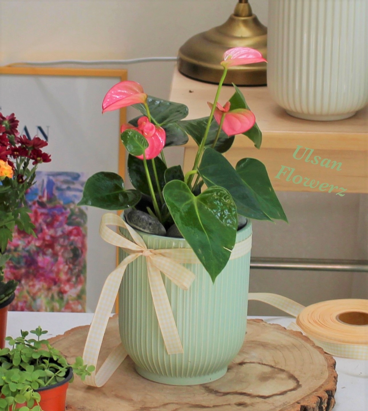 �󼼳��뺸��